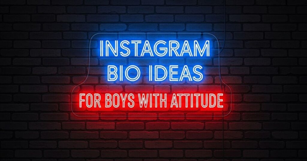 instagram-bio-ideas-for-boys-with-attitude